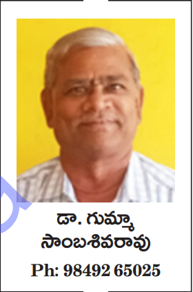 డా. గుమ్మా సాంబశివరావు , Gumma Sambashivarao